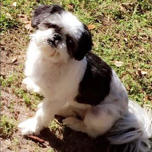 Meet your Posher, Haley